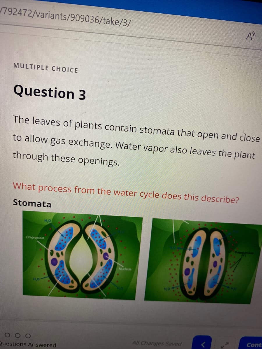 /792472/variants/909036/take/3/
MULTIPLE CHOICE
Question 3
The leaves of plants contain stomata that open and close
to allow gas exchange. Water vapor also leaves the plant
through these openings.
What process from the water cycle does this describe?
Stomata
HO
Chloroplast
DO
Questions Answered
Nucleus
All Changes Saved
K
Cont