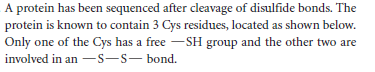 A protein has been sequenced after cleavage of disulfide bonds. The
protein is known to contain 3 Cys residues, located as shown below.
Only one of the Cys has a free –SH group and the other two are
involved in an -S-s- bond.
