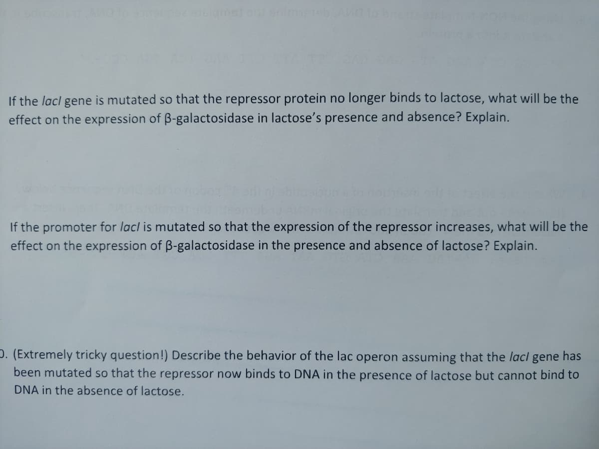If the lacl gene is mutated so that the repressor protein no longer binds to lactose, what will be the
effect on the expression of B-galactosidase in lactose's presence and absence? Explain.
If the promoter for lacl is mutated so that the expression of the repressor increases, what will be the
effect on the expression of B-galactosidase in the presence and absence of lactose? Explain.
D. (Extremely tricky question!) Describe the behavior of the lac operon assuming that the lacl gene has
been mutated so that the repressor now binds to DNA in the presence of lactose but cannot bind to
DNA in the absence of lactose.

