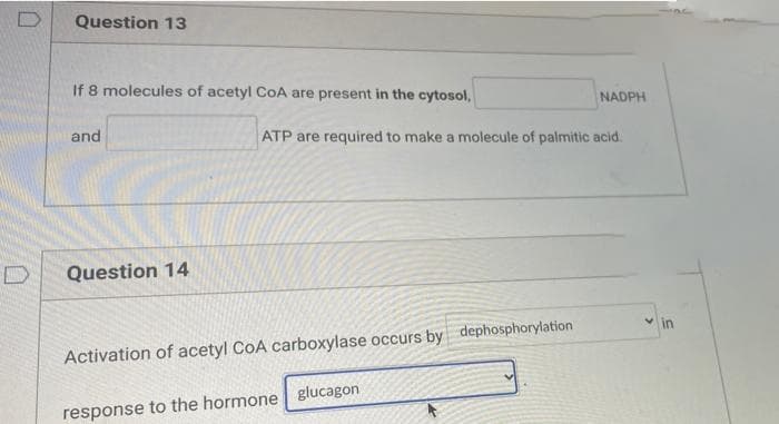 Question 13
If 8 molecules of acetyl CoA are present in the cytosol,
and
Question 14
NADPH
ATP are required to make a molecule of palmitic acid.
Activation of acetyl CoA carboxylase occurs by dephosphorylation
response to the hormone glucagon
in