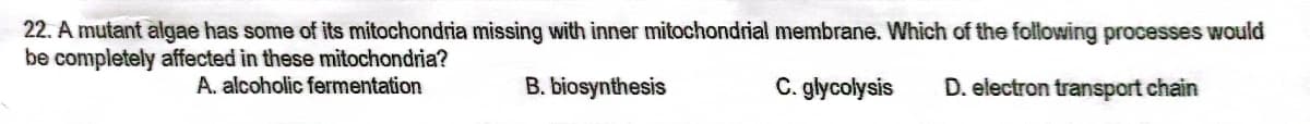 22. A mutant algae has some of its mitochondria missing with inner mitochondrial membrane. Which of the following processes would
be completely affected in these mitochondria?
A. alcoholic fermentation
B. biosynthesis
C. glycolysis
D. electron transport chain
