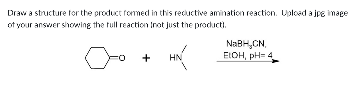 Draw a structure for the product formed in this reductive amination reaction. Upload a jpg image
of your answer showing the full reaction (not just the product).
+
HN
NaBH₂CN,
EtOH, pH= 4