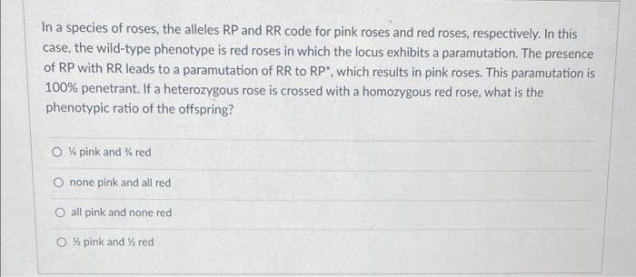 In a species of roses, the alleles RP and RR code for pink roses and red roses, respectively. In this
case, the wild-type phenotype is red roses in which the locus exhibits a paramutation. The presence
of RP with RR leads to a paramutation of RR to RP", which results in pink roses. This paramutation is
100% penetrant. If a heterozygous rose is crossed with a homozygous red rose, what is the
phenotypic ratio of the offspring?
O % pink and % red
none pink and all red
O all pink and none red
O % pink and red