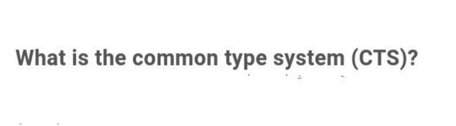 What is the common type system (CTS)?