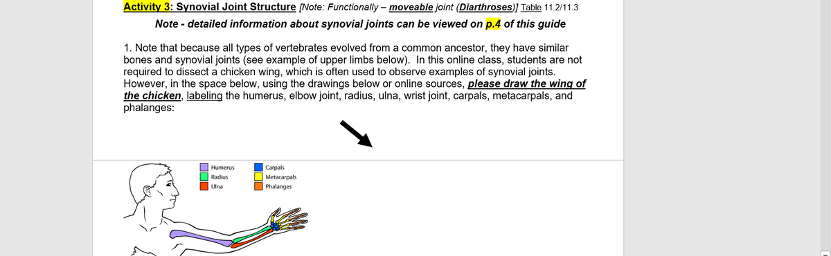 Activity 3: Synovial Joint Structure [Note: Functionally – moveable joint (Diarthroses)] Table 11.2/11.3
Note - detailed information about synovial joints can be viewed on p.4 of this guide
1. Note that because all types of vertebrates evolved from a common ancestor, they have similar
bones and synovial joints (see example of upper limbs below). In this online class, students are not
required to dissect a chicken wing, which is often used to observe examples of synovial joints.
However, in the space below, using the drawings below or online sources, please draw the wing of
the chicken, labeling the humerus, elbow joint, radius, ulna, wrist joint, carpals, metacarpals, and
phalanges:
Humerus
Carpals
Metacarpals
O Phalanges
Radius
Ulna
OOO
