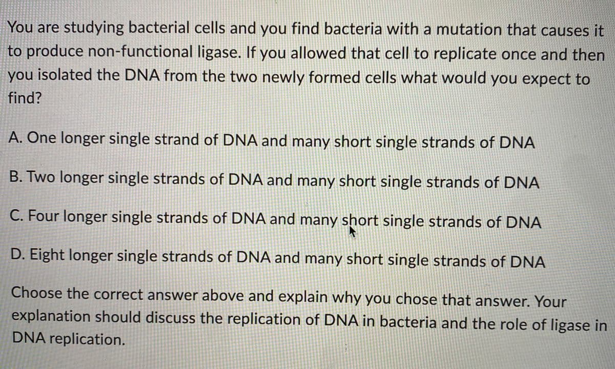 You are studying bacterial cells and you find bacteria with a mutation that causes it
to produce non-functional ligase. If you allowed that cell to replicate once and then
you isolated the DNA from the two newly formed cells what would you expect to
find?
A. One longer single strand of DNA and many short single strands of DNA
B. Two longer single strands of DNA and many short single strands of DNA
C. Four longer single strands of DNA and many short single strands of DNA
D. Eight longer single strands of DNA and many short single strands of DNA
Choose the correct answer above and explain why you chose that answer. Your
explanation should discuss the replication of DNA in bacteria and the role of ligase in
DNA replication.