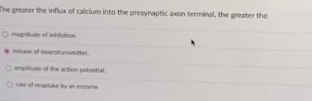 The greater the influx of calcium into the presynaptic axon terminal, the greater the
O magnitude of inhibition.
release of neurotransmitter.
O amplitude of the action potential
O rate of reuptake by an enzyme
