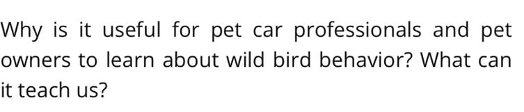 Why is it useful for pet car professionals and pet
owners to learn about wild bird behavior? What can
it teach us?
