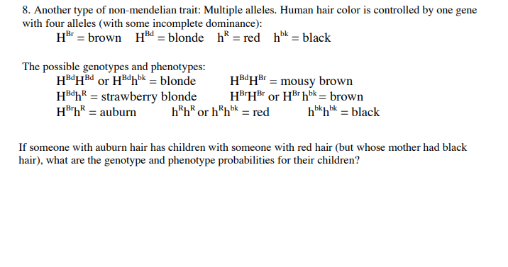8. Another type of non-mendelian trait: Multiple alleles. Human hair color is controlled by one gene
with four alleles (with some incomplete dominance):
Hr = brown Hd = blonde h* = red hok = black
The possible genotypes and phenotypes:
HBdHBd or HBdhbk = blonde
H®¢h* = strawberry blonde
H®h* = auburn
HBdHBr = mousy brown
HB'HBr or HBr hbk = brown
h*h* = black
h*h* or h*h* = red
If someone with auburn hair has children with someone with red hair (but whose mother had black
hair), what are the genotype and phenotype probabilities for their children?
