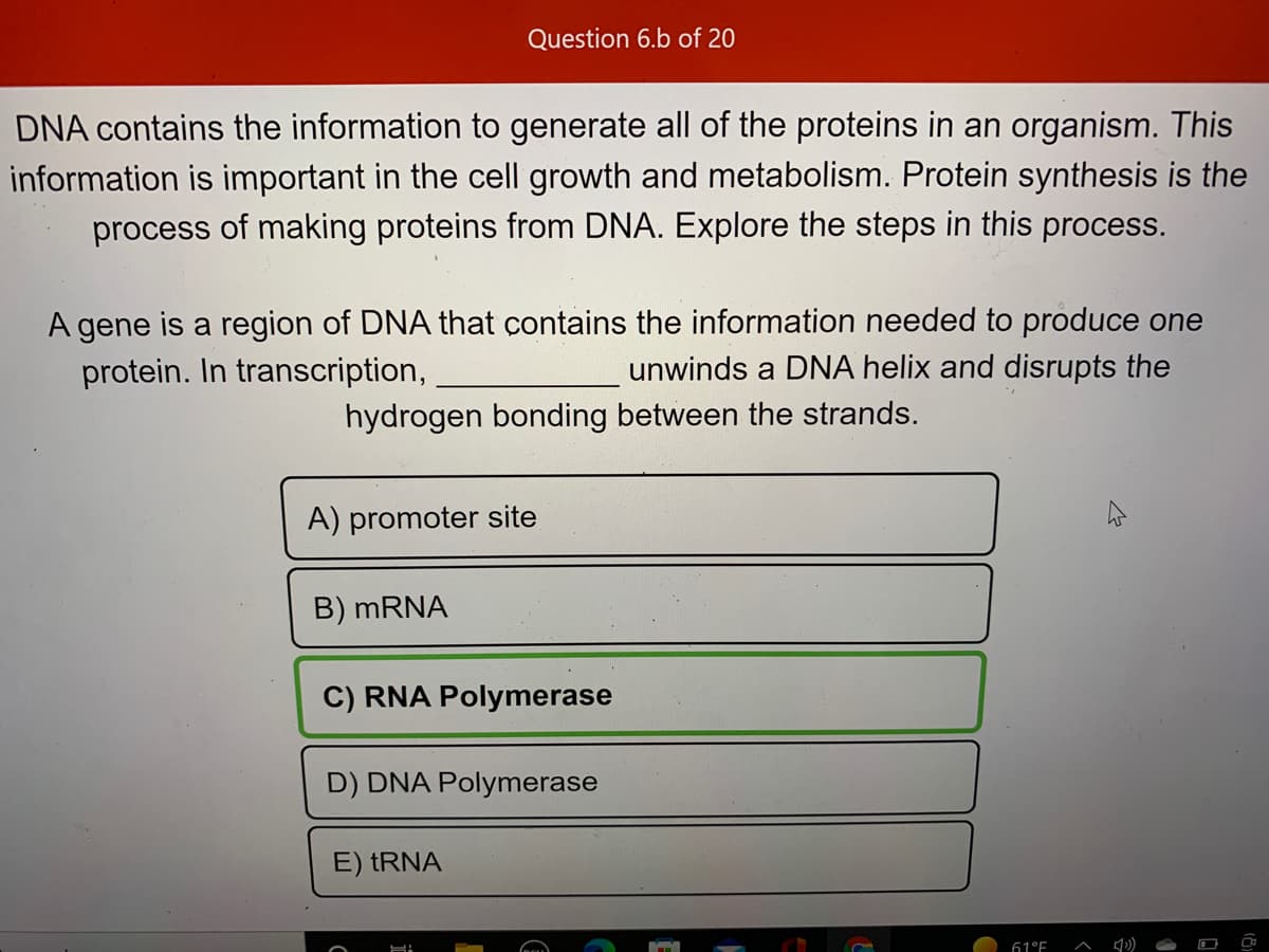 Question 6.b of 20
DNA contains the information to generate all of the proteins in an organism. This
information is important in the cell growth and metabolism. Protein synthesis is the
process of making proteins from DNA. Explore the steps in this process.
A gene is a region of DNA that contains the information needed to produce one
protein. In transcription,
unwinds a DNA helix and disrupts the
hydrogen bonding between the strands.
A) promoter site
B) MRNA
C) RNA Polymerase
D) DNA Polymerase
E) tRNA
61°F
