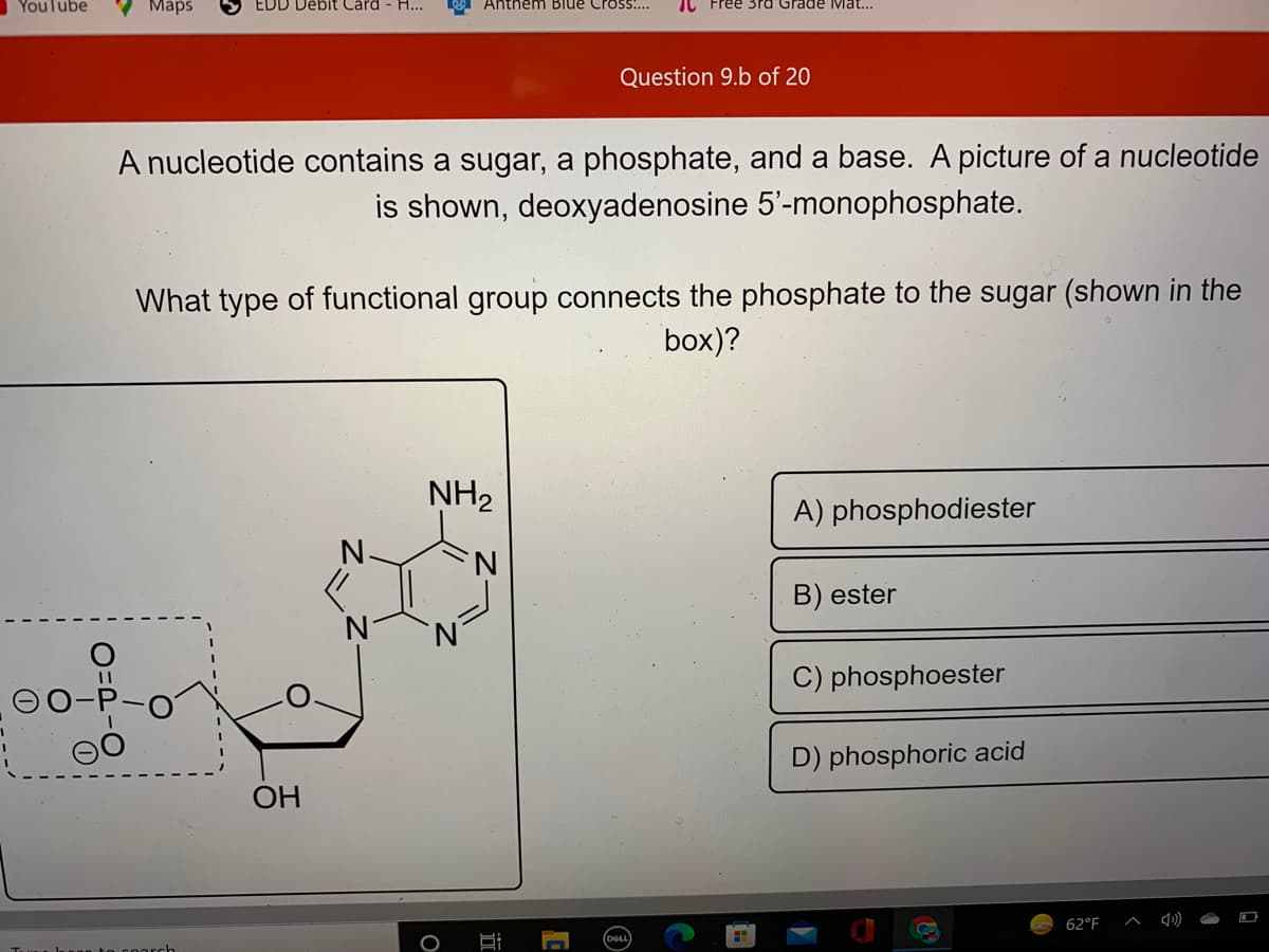 Youlube
Maps
EDD Debit Card - H...
Ahthem Blue Cross....
3rd Grade Mat...
Question 9.b of 20
A nucleotide contains a sugar, a phosphate, and a base. A picture of a nucleotide
is shown, deoxyadenosine 5'-monophosphate.
What type of functional group connects the phosphate to the sugar (shown in the
box)?
NH2
A) phosphodiester
B) ester
C) phosphoester
D) phosphoric acid
ОН
62°F
近
