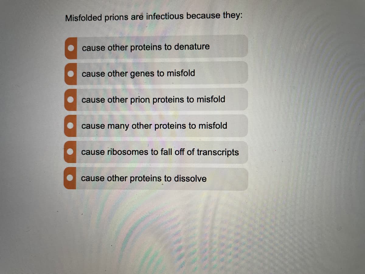Misfolded prions are infectious because they:
cause other proteins to denature
cause other genes to misfold
cause other prion proteins to misfold
cause many other proteins to misfold
cause ribosomes to fall off of transcripts
cause other proteins to dissolve
