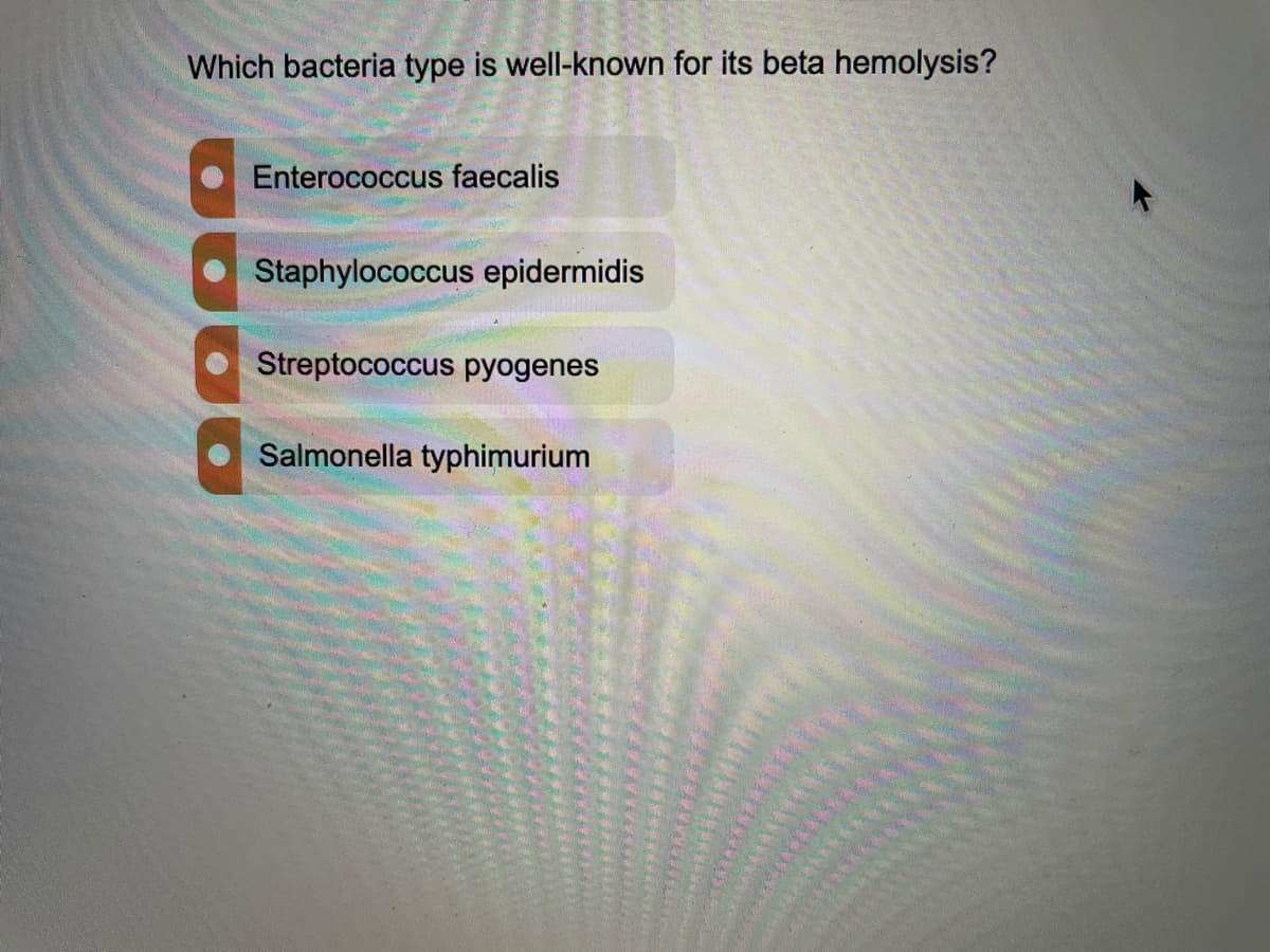 Which bacteria type is well-known for its beta hemolysis?
Enterococcus faecalis
Staphylococcus epidermidis
Streptococcus pyogenes
Salmonella typhimurium
