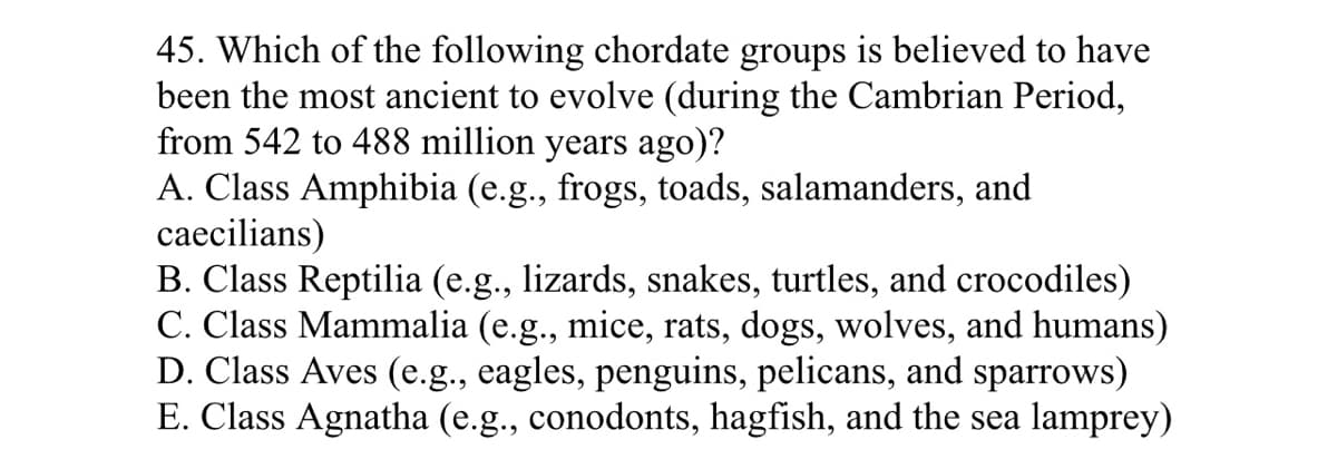 45. Which of the following chordate groups is believed to have
been the most ancient to evolve (during the Cambrian Period,
from 542 to 488 million years ago)?
A. Class Amphibia (e.g., frogs, toads, salamanders, and
caecilians)
B. Class Reptilia (e.g., lizards, snakes, turtles, and crocodiles)
C. Class Mammalia (e.g., mice, rats, dogs, wolves, and humans)
D. Class Aves (e.g., eagles, penguins, pelicans, and sparrows)
E. Class Agnatha (e.g., conodonts, hagfish, and the sea lamprey)

