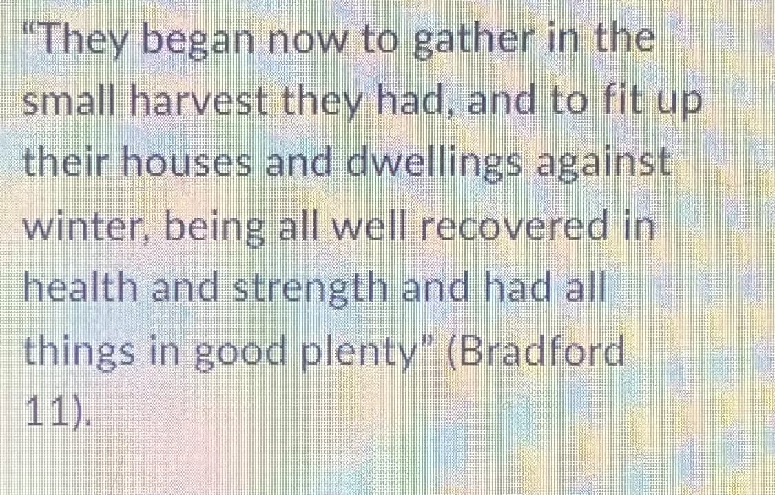"They began now to gather in the
small harvest they had, and to fit up
their houses and dwellings against
winter, being all well recovered
health and strength and had all
things in good plenty" (Bradford
11).