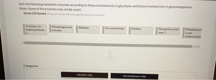 Sort the following metabolic enzymes according to those involved only in glycolysis and those involved only in gluconeogenesis.
(Note: Some of the enzymes may not be used.)
Items (10 items) (Drag and drop into the appropriate area below)
Fructose-1,6-
bisphosphatase-
1
Categories
Phosphoglycerat
e kinase
Aldolase
Glycolysis Only
Pyruvate kinase Enolase
Gluconeogenesis Only
Phosphofructoki
nase-1
Phosphoenol
uvate
carboxykinas