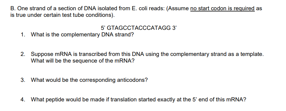 B. One strand of a section of DNA isolated from E. coli reads: (Assume no start codon is required as
is true under certain test tube conditions).
5' GTAGCCTACCCATAGG 3'
What is the complementary DNA strand?
2. Suppose mRNA is transcribed from this DNA using the complementary strand as a template.
What will be the sequence of the mRNA?
3. What would be the corresponding anticodons?
4. What peptide would be made if translation started exactly at the 5' end of this mRNA?