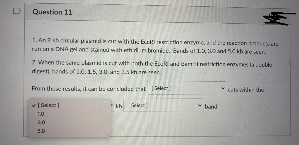 D
Question 11
1. An 9 kb circular plasmid is cut with the EcoRI restriction enzyme, and the reaction products are
run on a DNA gel and stained with ethidium bromide. Bands of 1.0, 3.0 and 5.0 kb are seen.
2. When the same plasmid is cut with both the EcoRI and BamHI restriction enzymes (a double
digest), bands of 1.0, 1.5, 3.0, and 3.5 kb are seen.
From these results, it can be concluded that [ Select ]
cuts within the
V [ Select ]
kb
[ Select ]
v band
1.0
3.0
5.0
