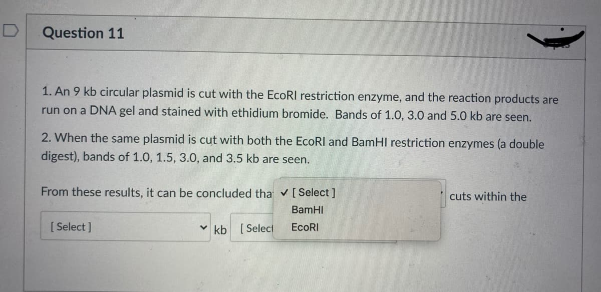 Question 11
1. An 9 kb circular plasmid is cut with the EcoRI restriction enzyme, and the reaction products are
run on a DNA gel and stained with ethidium bromide. Bands of 1.0, 3.0 and 5.0 kb are seen.
2. When the same plasmid is cut with both the EcoRI and BamHl restriction enzymes (a double
digest), bands of 1.0, 1.5, 3.0, and 3.5 kb are seen.
From these results, it can be concluded tha v[ Select ]
cuts within the
BamHI
[ Select ]
v kb
[Select
EcoRI
