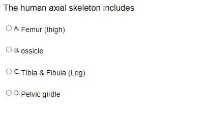 The human axial skeleton includes
O A. Femur (thigh)
O B. ossicle
OC. TIbia & Fibula (Leg)
O D. Pelvic girdle

