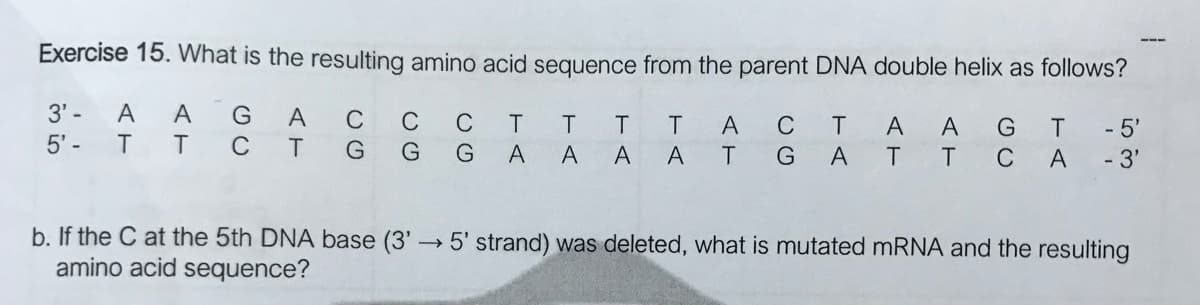 Exercise 15. What is the resulting amino acid sequence from the parent DNA double helix as follows?
- 5'
3' - AAG ACC CT T
T
5'- TT CT G G G A A A A
ACT A AGT
T GA T T C A
- 3'
b. If the C at the 5th DNA base (3'5' strand) was deleted, what is mutated mRNA and the resulting
amino acid sequence?
TA