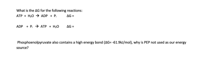 What is the AG for the following reactions:
ATP + H20 → ADP + P.
AG =
ADP + P. → ATP + H20
AG =
Phosphoenolpyruvate also contains a high energy bond (AG= -61.9kl/mol), why is PEP not used as our energy
source?
