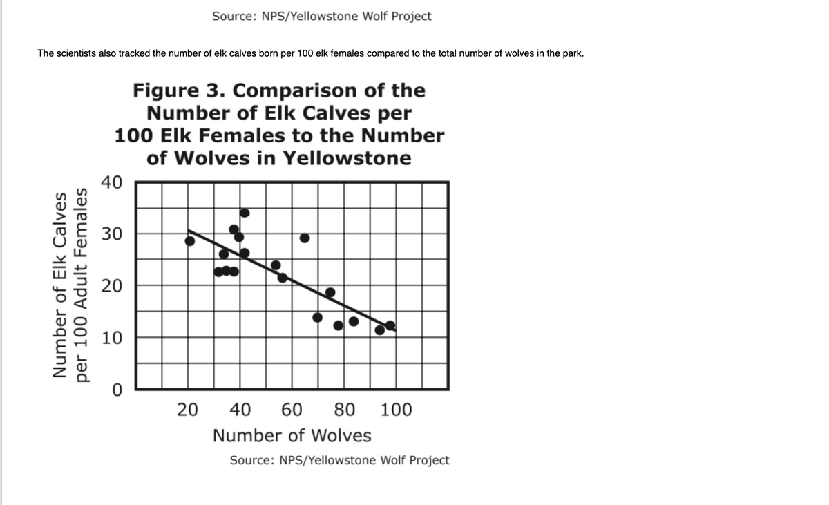 The scientists also tracked the number of elk calves born per 100 elk females compared to the total number of wolves in the park.
Females
Number of Elk Calves
per 100 Adult
Figure 3. Comparison of the
Number of Elk Calves per
100 Elk Females to the Number
of Wolves in Yellowstone
40
30
20
10
Source: NPS/Yellowstone Wolf Project
0
20
40 60 80 100
Number of Wolves
Source: NPS/Yellowstone Wolf Project