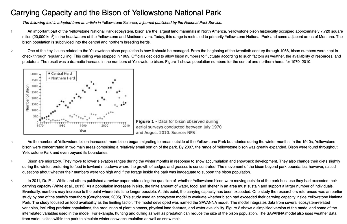 Carrying Capacity and the Bison of Yellowstone National Park
The following text is adapted from an article in Yellowstone Science, a journal published by the National Park Service.
1
2
3
4
5
An important part of the Yellowstone National Park ecosystem, bison are the largest land mammals in North America. Yellowstone bison historically occupied approximately 7,720 square
miles (20,000 km²) in the headwaters of the Yellowstone and Madison rivers. Today, this range is restricted to primarily Yellowstone National Park and some adjacent areas of Montana. The
bison population is subdivided into the central and northern breeding herds.
One of the key issues related to the Yellowstone bison population is how it should be managed. From the beginning of the twentieth century through 1966, bison numbers were kept in
check through regular culling. This culling was stopped in 1969. Officials decided to allow bison numbers to fluctuate according to such factors as weather, the availability of resources, and
predators. The result was a dramatic increase in the numbers of Yellowstone bison. Figure 1 shows population numbers for the central and northern herds for 1970-2010.
Number of Bison
4000
3500
3000
2500
2000
1500
1000
500
0
1970
* Central Herd
Northern Herd
1980
1990
Year
2000
2010
Figure 1 - Data for bison observed during
aerial surveys conducted between July 1970
and August 2010. Source: NPS
As the number of Yellowstone bison increased, more bison began migrating to areas outside of the Yellowstone Park boundaries during the winter months. In the 1940s, Yellowstone
bison were concentrated in two main areas comprising a relatively small portion of the park. By 2007, the range of Yellowstone bison was greatly expanded. Bison were found throughout
Yellowstone Park and even beyond its boundaries.
Bison are migratory. They move to lower elevation ranges during the winter months in response to snow accumulation and snowpack development. They also change their diets slightly
during the winter, preferring to feed in lowland meadows where the growth of sedges and grasses is concentrated. The movement of the bison beyond park boundaries, however, raised
questions about whether their numbers were too high and if the forage inside the park was inadequate to support the bison population.
In 2011, Dr. P. J. White and others published a review paper addressing the question of whether Yellowstone bison were moving outside of the park because they had exceeded their
carrying capacity (White et al., 2011). As a population increases in size, the finite amount of water, food, and shelter in an area must sustain and support a larger number of individuals.
Eventually, numbers may increase to the point where this is no longer possible. At this point, the carrying capacity has been exceeded. One study the researchers referenced was an earlier
study by one of the study's coauthors (Coughenour, 2005). This study used an ecosystem model to evaluate whether bison had exceeded their carrying capacity inside Yellowstone National
Park. The study focused on food availability as the limiting factor. The model developed was named the SAVANNA model. The model integrates data from several ecosystem-related
variables, including predator populations, the production of plant biomass, physical land features, and water availability. Figure 2 shows a simplified version of the model and some of the
interrelated variables used in the model. For example, hunting and culling as well as predation can reduce the size of the bison population. The SAVANNA model also uses weather data
from various sites within the park to simulate winter snow accumulation as well as snow melt.