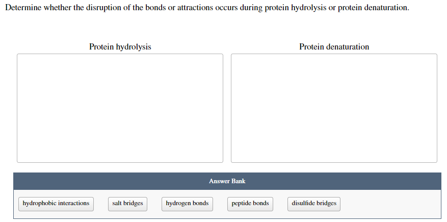Determine whether the disruption of the bonds or attractions occurs during protein hydrolysis or protein denaturation.
Protein hydrolysis
Protein denaturation
Answer Bank
salt bridges
disulfide bridges
hydrophobic interactions
hydrogen bonds
peptide bonds