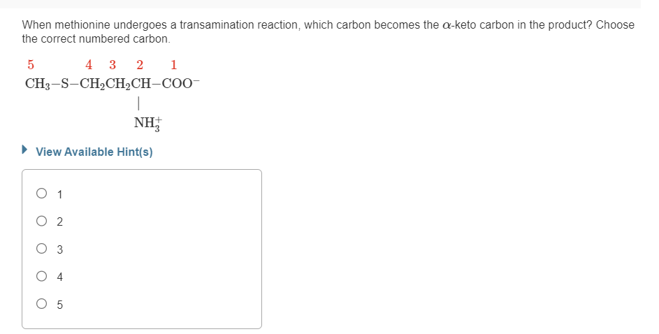 When methionine undergoes a transamination reaction, which carbon becomes the a-keto carbon in the product? Choose
the correct numbered carbon.
5
2 1
43
CH3-S-CH₂CH₂CH-COO-
|
NH,
► View Available Hint(s)
O 1
O 2
O 3
O 4
O 5