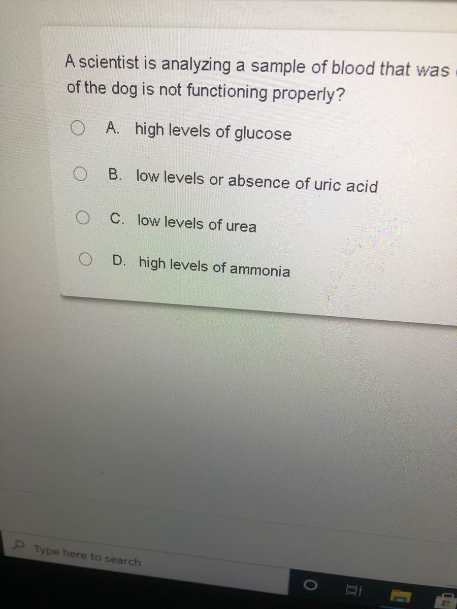 A scientist is analyzing a sample of blood that was
of the dog is not functioning properly?
O A. high levels of glucose
O B. low levels or absence of uric acid
C. low levels of urea
D. high levels of ammonia
Type here to search
