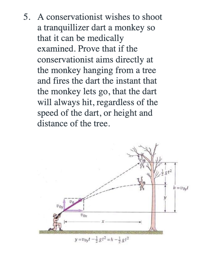 5. A
conservationist wishes to shoot
a tranquillizer dart a monkey so
that it can be medically
examined. Prove that if the
conservationist aims directly at
the monkey hanging from a tree
and fires the dart the instant that
the monkey lets go, that the dart
will always hit, regardless of the
speed of the dart, or height and
distance of the tree.
Voy
vo
Vox
y=voyt-81²=h-181²
7812
h=Voyt