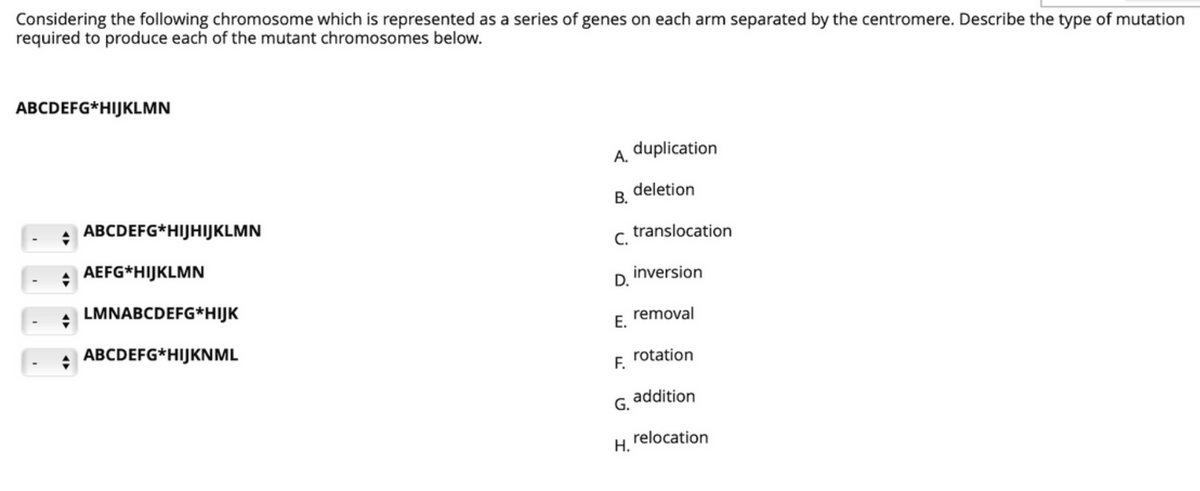 Considering the following chromosome which is represented as a series of genes on each arm separated by the centromere. Describe the type of mutation
required to produce each of the mutant chromosomes below.
ABCDEFG*HIJKLMN
duplication
А.
deletion
В.
+ ABCDEFG*HIJHIJKLMN
translocation
C.
+ AEFG*HIJKLMN
inversion
D.
LMNABCDEFG*HIJK
removal
Е.
ABCDEFG*HIJKNML
rotation
addition
G.
relocation
Н.
