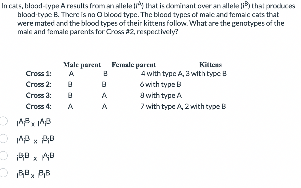In cats, blood-type A results from an allele (IA) that is dominant over an allele (³) that produces
blood-type B. There is no O blood type. The blood types of male and female cats that
were mated and the blood types of their kittens follow. What are the genotypes of the
male and female parents for Cross #2, respectively?
Cross 1:
Cross 2:
Cross 3:
Cross 4:
¡AB X IA;B
¡A₁B x ¡BiB
¡BiB x A₁B
¡BBx ¡BiB
Male parent
A
B
B
A
B
B
A
A
Kittens
4 with type A, 3 with type B
6 with type B
Female parent
8 with type A
7 with type A, 2 with type B