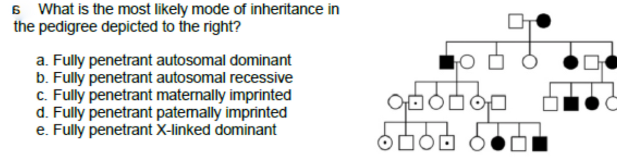 6 What is the most likely mode of inheritance in
the pedigree depicted to the right?
a. Fully penetrant autosomal dominant
b. Fully penetrant autosomal recessive
c. Fully penetrant maternally imprinted
d. Fully penetrant patemally imprinted
e. Fully penetrant X-linked dominant
