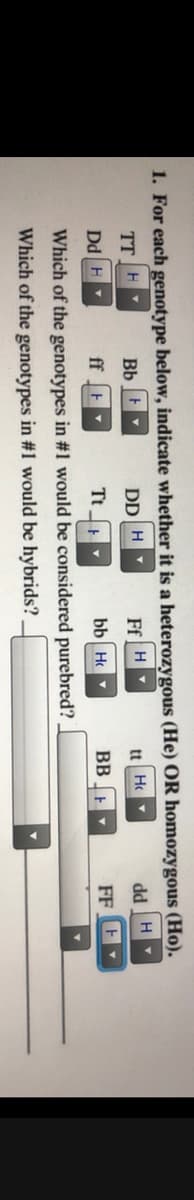 1. For each genotype below, indicate whether it is a heterozygous (He) OR homozygous (Ho).
TT H
Bb
DD H Y
Ef H
H PP
FF E
tt
Ho
Dd H
ff E
Tt
bb H
BB
Which of the genotypes in #1 would be considered purebred?
Which of the genotypes in #1 would be hybrids? .
