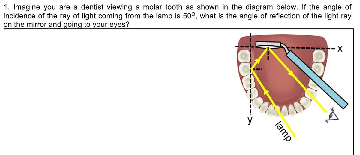 1. Imagine you are a dentist viewing a molar tooth as shown in the diagram below. If the angle of
incidence of the ray of light coming from the lamp is 50°, what is the angle of reflection of the light ray
on the mirror and going to your eyes?
--X
y
lamp

