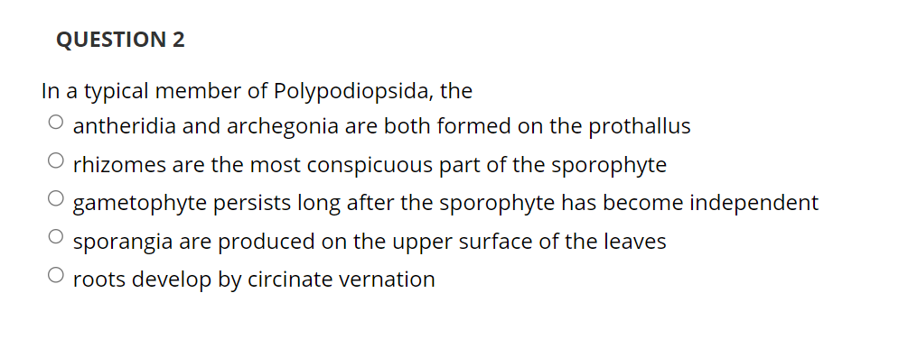 QUESTION 2
In a typical member of Polypodiopsida, the
O antheridia and archegonia are both formed on the prothallus
O rhizomes are the most conspicuous part of the sporophyte
gametophyte persists long after the sporophyte has become independent
sporangia are produced on the upper surface of the leaves
O roots develop by circinate vernation