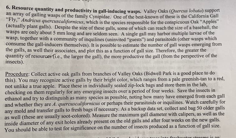 6. Resource quantity and productivity in gall-inducing wasps. Valley Oaks (Quercus lobata) support
an array of galling wasps of the family Cynipidae. One of the best-known of these is the California Gall
"Fly," Andricus quercuscalifornicus, which is the species responsible for the conspicuous Oak "Apples"
(actually plant galls). Despite the size of these galls, some of which can reach the size of a baseball, the
wasps are only about 5 mm long and are seldom seen. A single gall may harbor multiple larvae of the
wasp, together with a community of inquilines (uninvited "guests") and parasitoids (other wasps which
consume the gall-inducers themselves). It is possible to estimate the number of gall wasps emerging from
the galls, as well their associates, and plot this as a function of gall size. Therefore, the greater the
quantity of resources (i.e., the larger the gall), the more productive the gall (from the perspective of the
insects).
Procedure: Collect active oak galls from branches of Valley Oaks (Bidwell Park is a good place to do
this). You may recognize active galls by their bright color, which ranges from a pale greenish-tan to a red,
not unlike a true apple. Place these in individually sealed zip-lock bags and store them in the lab,
checking on them regularly for any emerging insects over a period of four weeks. Save the insects in
ethanol and try to distinguish as many species as possible, noting how many have emerged from each gall
and whether they are A. quercuscalifornicus or perhaps their parasitoids or inquilines. Watch carefully for
any mold and transfer galls to fresh bags if necessary. As a backup data set, collect and bag 50 older galls
as well (these are usually soot-colored). Measure the maximum gall diameter with calipers, as well as the
inside diameter of any exit holes already present on the old galls and after four weeks on the new galls.
You should be able to test for significance on the number of insects produced as a function of gall size.
saya
frochwotor streams is an