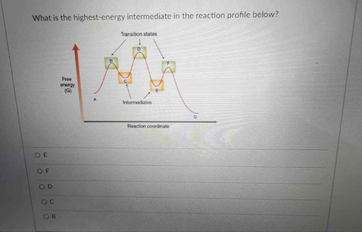 What is the highest-energy intermediate in the reaction profile below?
Transition states
OE
OF
OD
O
C
B
Free
energy
(G)
A
Intermediates
G
Reaction coordinate