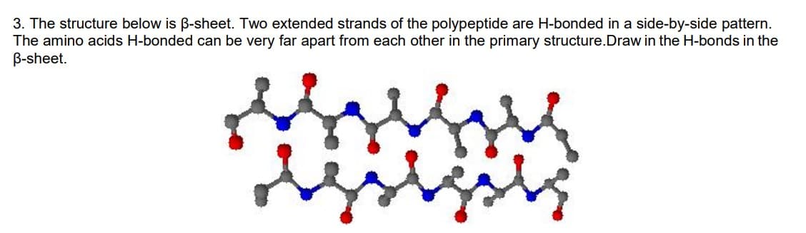 3. The structure below is ß-sheet. Two extended strands of the polypeptide are H-bonded in a side-by-side pattern.
The amino acids H-bonded can be very far apart from each other in the primary structure.Draw in the H-bonds in the
B-sheet.
gets