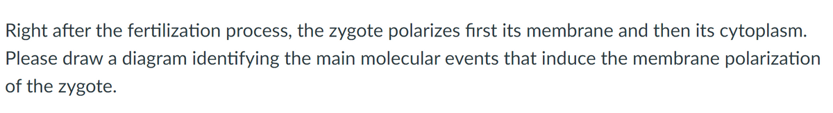 Right after the fertilization process, the zygote polarizes first its membrane and then its cytoplasm.
Please draw a diagram identifying the main molecular events that induce the membrane polarization
of the zygote.

