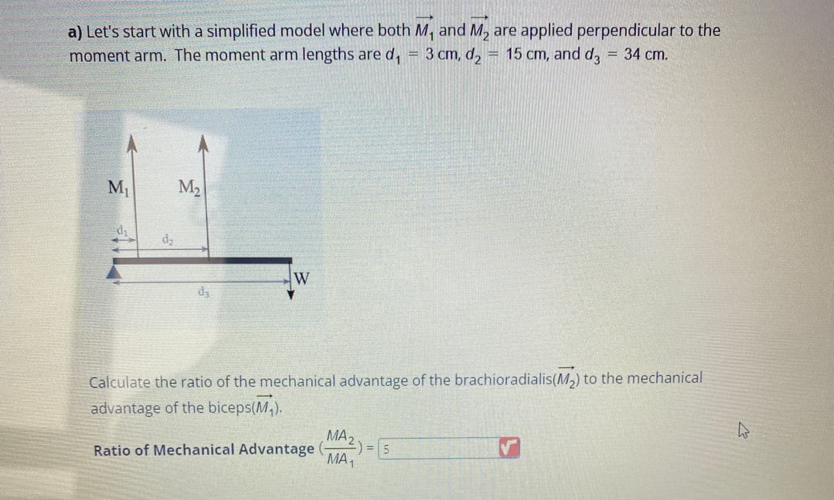 a) Let's start with a simplified model where both M, and M₂ are applied perpendicular to the
moment arm. The moment arm lengths are d₁ = 3 cm, d₂ 15 cm, and d3 = 34 cm.
M₁
M₂
da
W
Calculate the ratio of the mechanical advantage of the brachioradialis(M₂) to the mechanical
advantage of the biceps(M₁).
Ratio of Mechanical Advantage
MA2
-) = 5
MA1