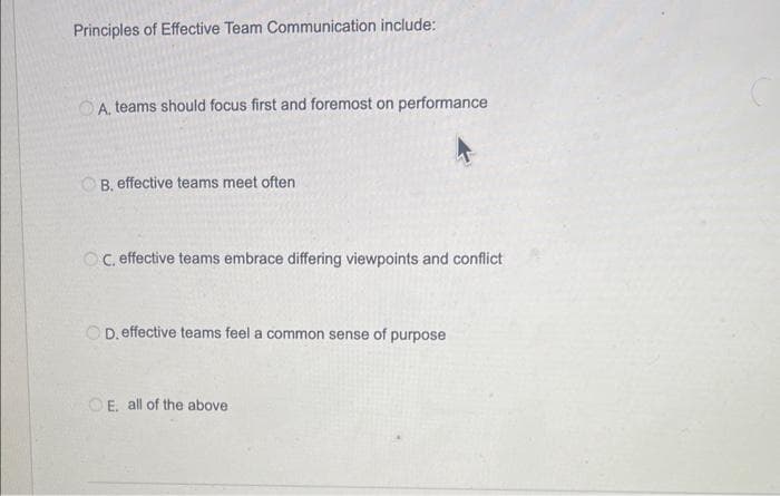 Principles of Effective Team Communication include:
A. teams should focus first and foremost on performance
B. effective teams meet often
OC, effective teams embrace differing viewpoints and conflict
OD. effective teams feel a common sense of purpose
OE. all of the above