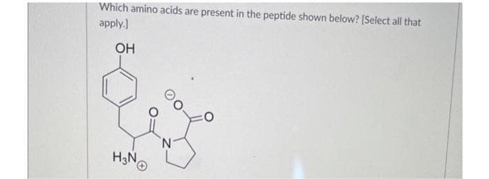Which amino acids are present in the peptide shown below? [Select all that
apply.]
OH
H3NⓇ
N