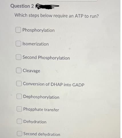 Question 2
Which steps below require an ATP to run?
Phosphorylation
|Isomerization
Second Phosphorylation
Cleavage
Conversion of DHAP into GADP
Dephosphorylation
Phosphate transfer
Dehydration
O Second dehydration
