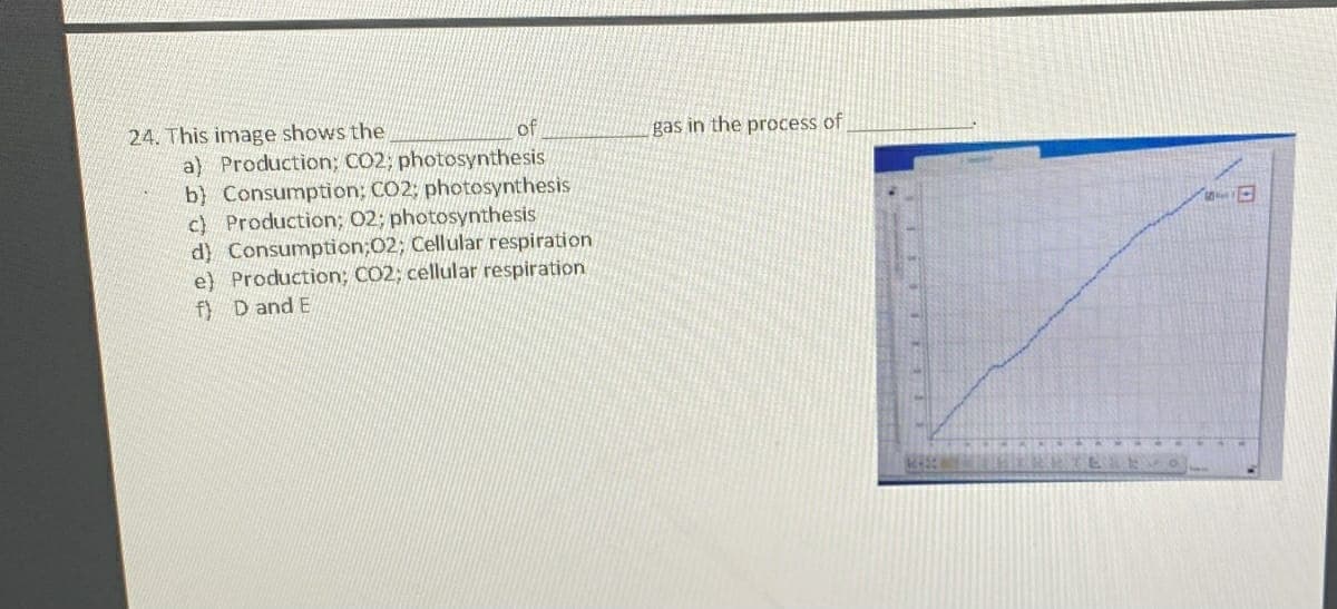 24. This image shows the
of
gas in the process of
a) Production; CO2; photosynthesis
b) Consumption; CO2; photosynthesis
c) Production; 02; photosynthesis
d) Consumption;02; Cellular respiration
e) Production; CO2; cellular respiration
f) D and E
日
