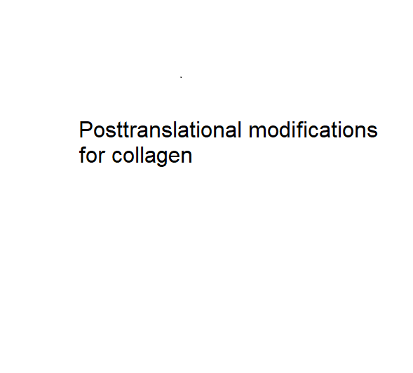 Posttranslational modifications
for collagen
