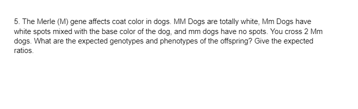 5. The Merle (M) gene affects coat color in dogs. MM Dogs are totally white, Mm Dogs have
white spots mixed with the base color of the dog, and mm dogs have no spots. You cross 2 Mm
dogs. What are the expected genotypes and phenotypes of the offspring? Give the expected
ratios.