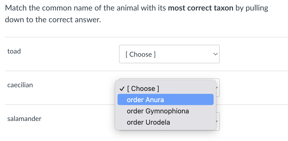 Match the common name of the animal with its most correct taxon by pulling
down to the correct answer.
toad
caecilian
salamander
[Choose ]
✓ [Choose ]
order Anura
order Gymnophiona
order Urodela